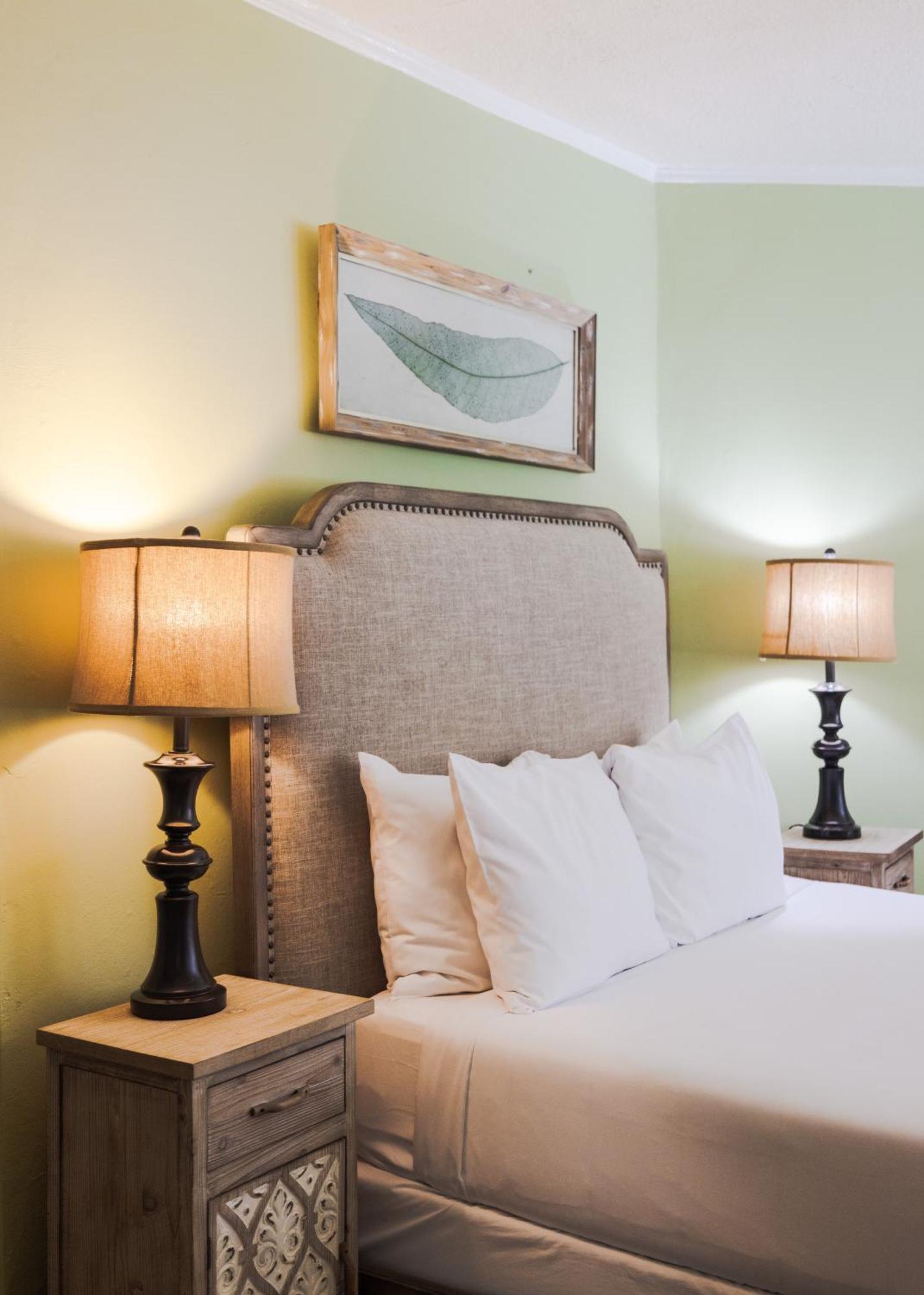 אשוויל Princess Anne Boutique Hotel מראה חיצוני תמונה